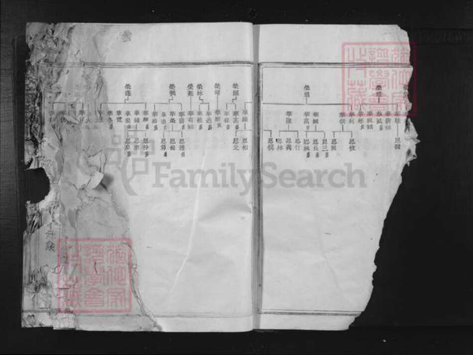 福建省三明市宁化县张氏族谱-清河郡张氏族谱.pdf电子版预览图1