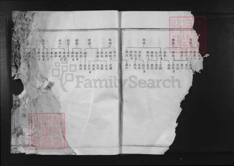 福建省三明市宁化县张氏族谱-清河郡张氏族谱.pdf电子版预览图2