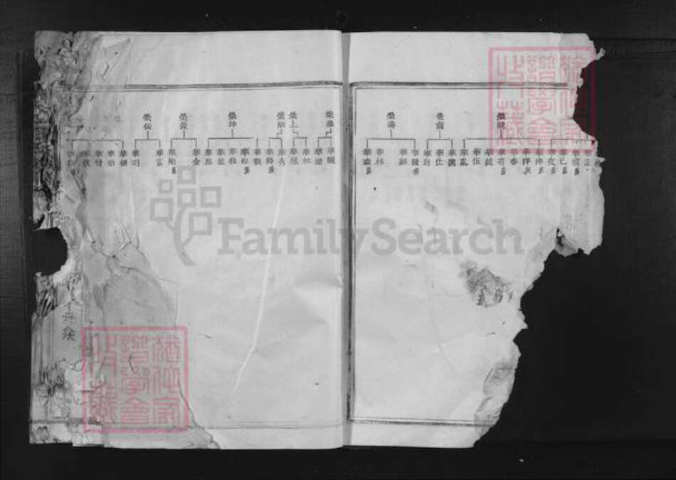 福建省三明市宁化县张氏族谱-清河郡张氏族谱.pdf电子版预览图3