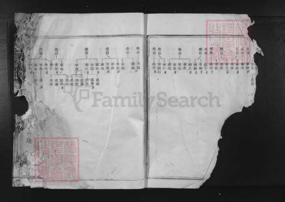 福建省三明市宁化县张氏族谱-清河郡张氏族谱.pdf电子版预览图4