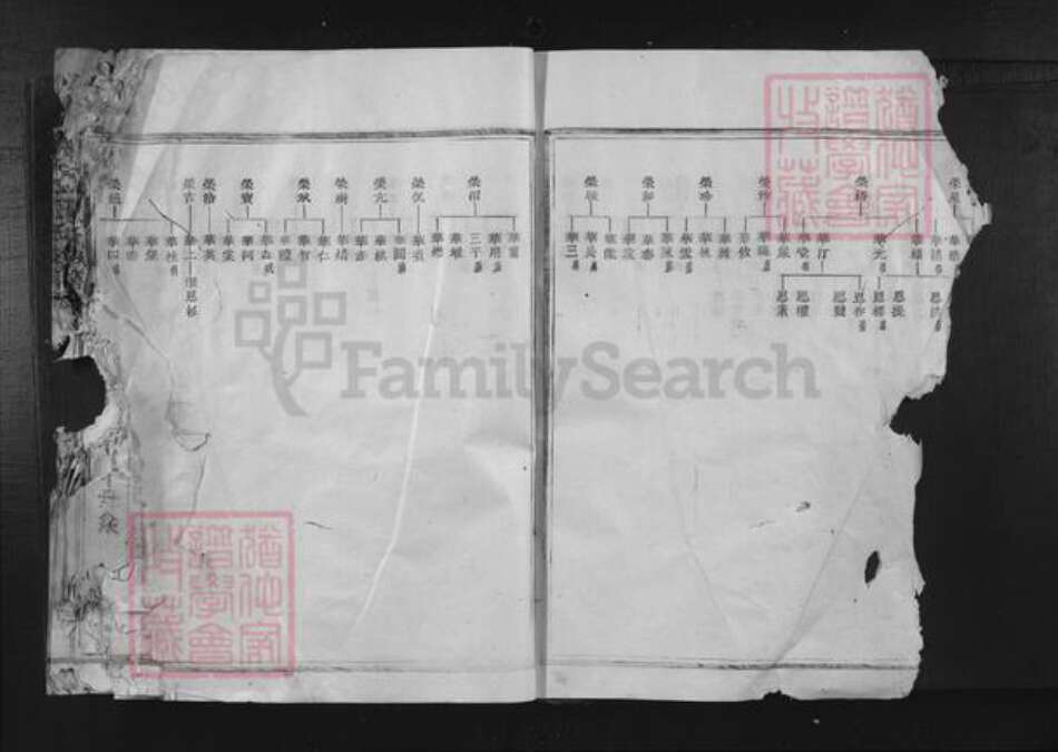 福建省三明市宁化县张氏族谱-清河郡张氏族谱.pdf电子版预览图5