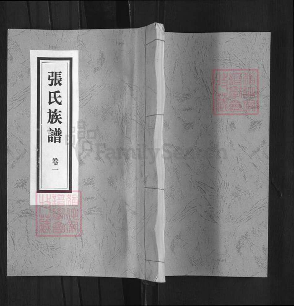 山东省临沂市沂水县张氏族谱-张氏族谱.pdf电子版缩略图