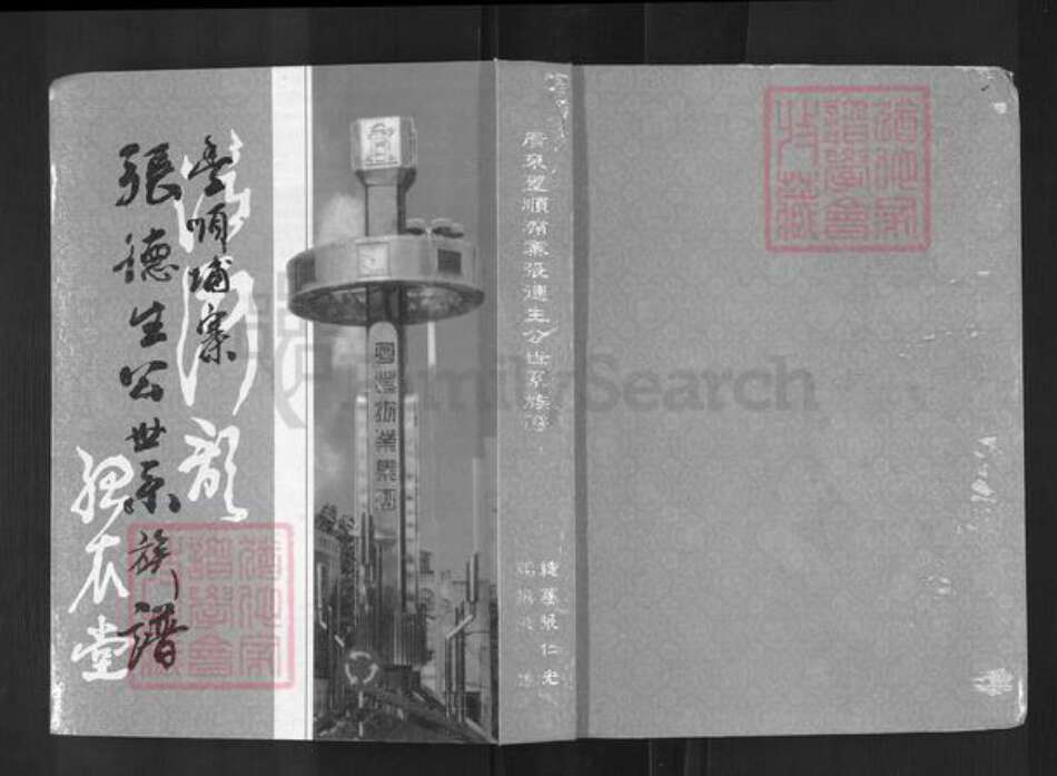 广东省梅州市丰顺县埔寨镇张氏族谱-张德生公世系族谱.pdf电子版缩略图