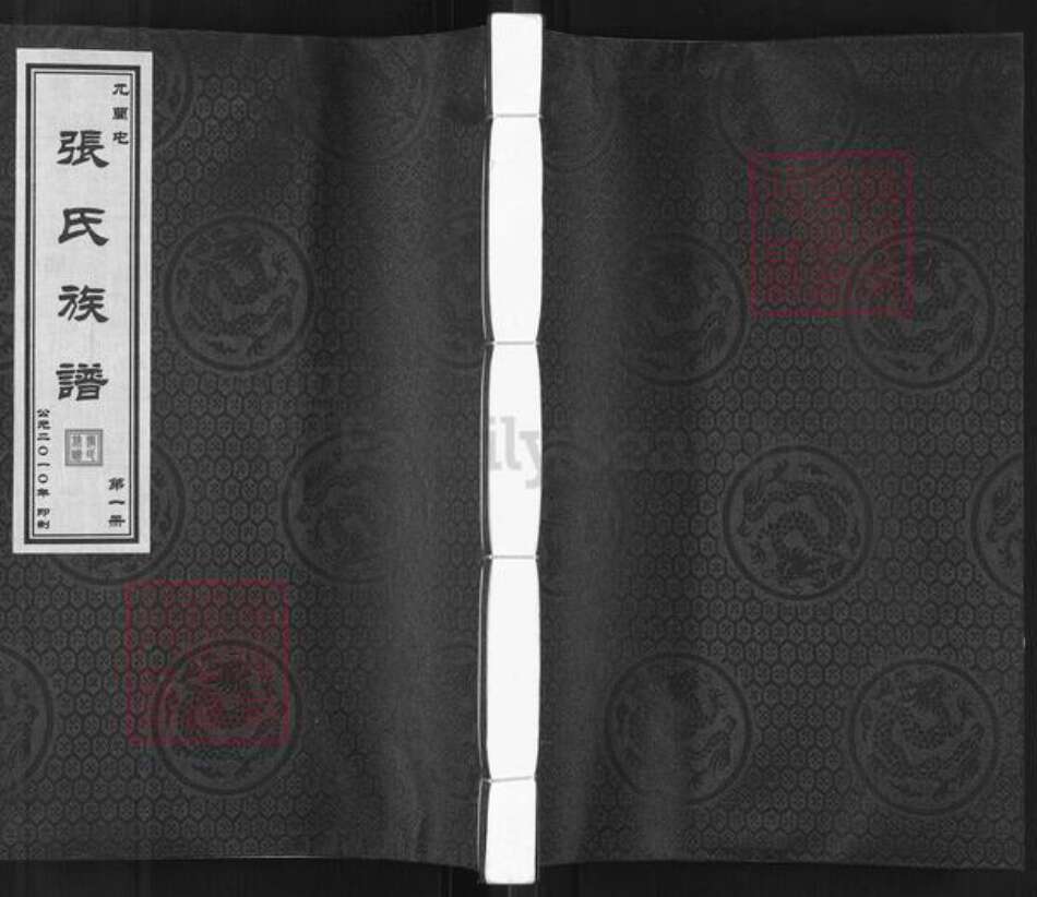 河北省衡水市故城县张氏族谱-张氏族谱.pdf电子版缩略图