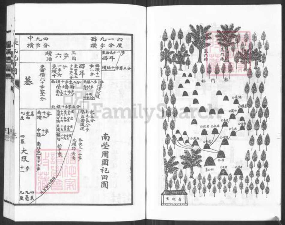 河北省衡水市故城县张氏族谱-张氏族谱.pdf电子版预览图4