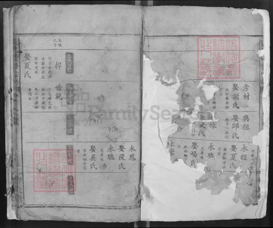 湖北省鄂州市梁子湖区梁子镇张氏孝友堂族谱-张氏续修宗谱.pdf电子版预览图1