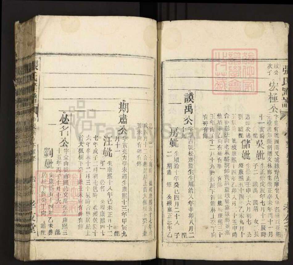 安徽省安庆市潜山市龙潭乡张氏孝友堂族谱-张氏汇谱.pdf电子版预览图2