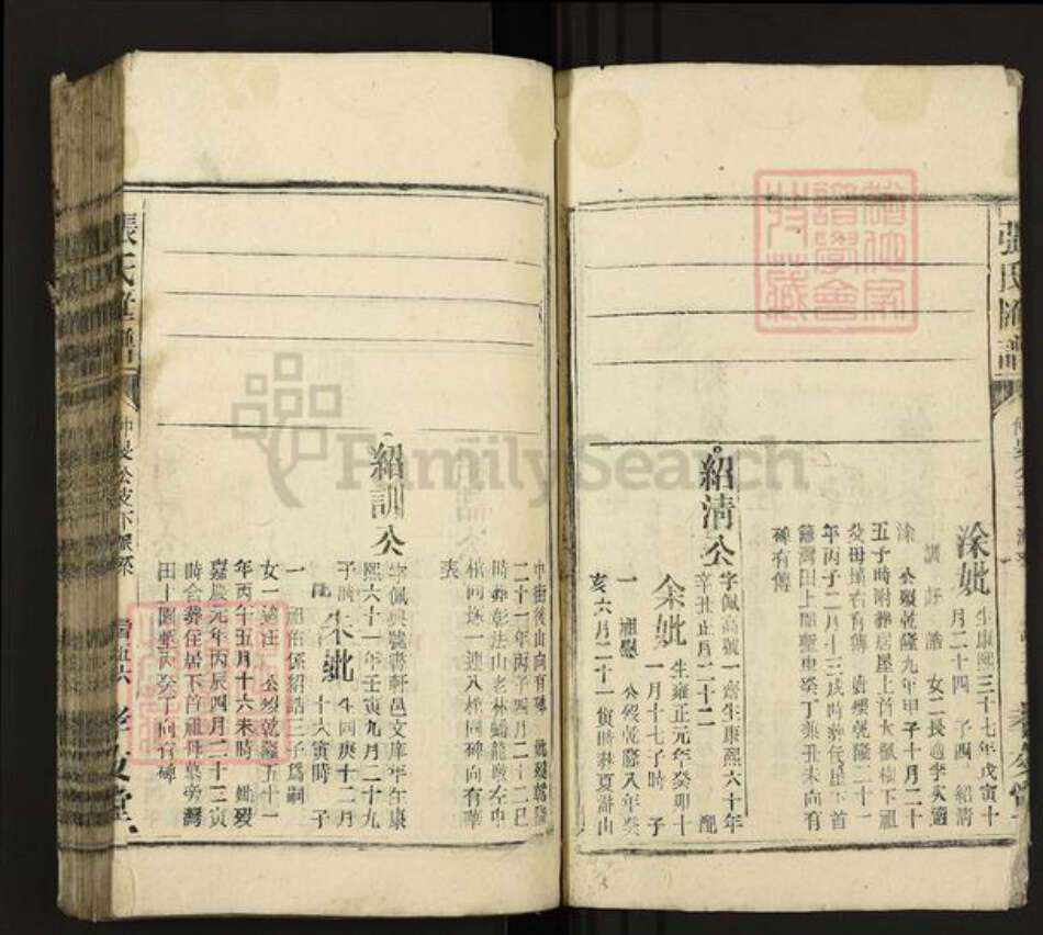 安徽省安庆市潜山市龙潭乡张氏孝友堂族谱-张氏汇谱.pdf电子版预览图3