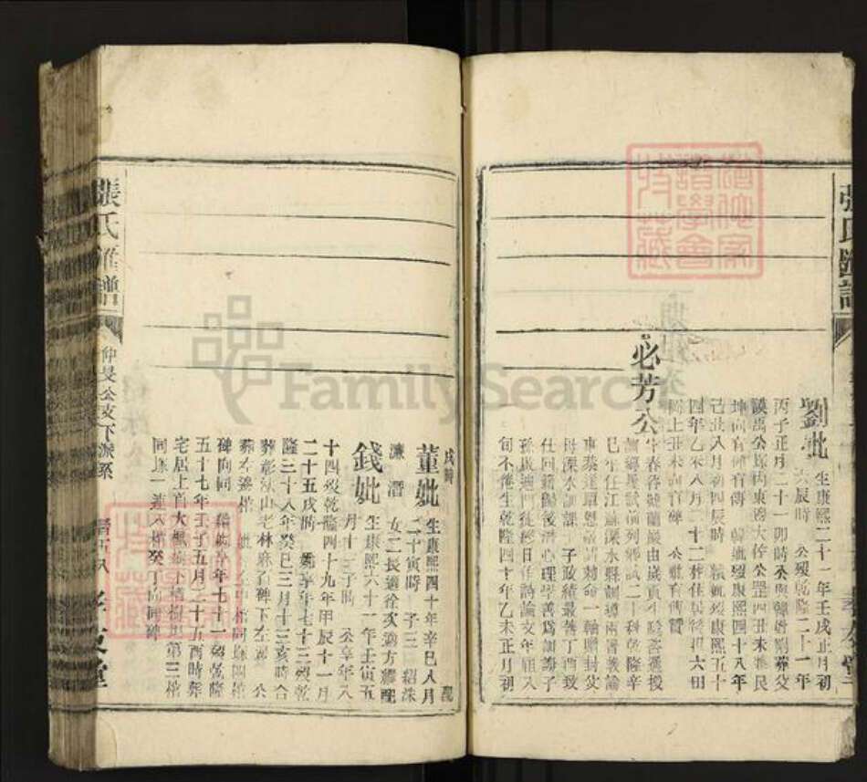 安徽省安庆市潜山市龙潭乡张氏孝友堂族谱-张氏汇谱.pdf电子版预览图5