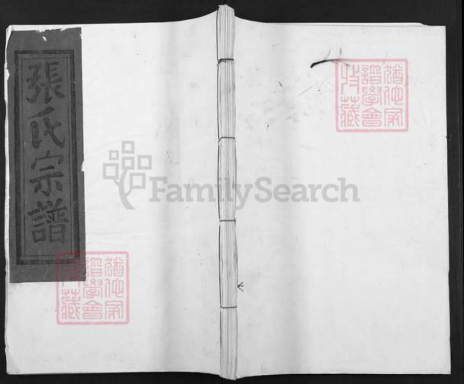 福建省三明市建宁县张氏族谱-张氏宗谱.pdf电子版缩略图