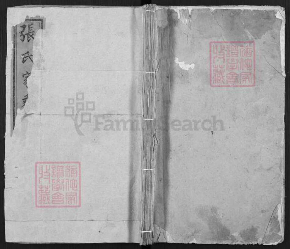 山东省济南市平阴县张氏族谱-张氏族谱.pdf电子版缩略图