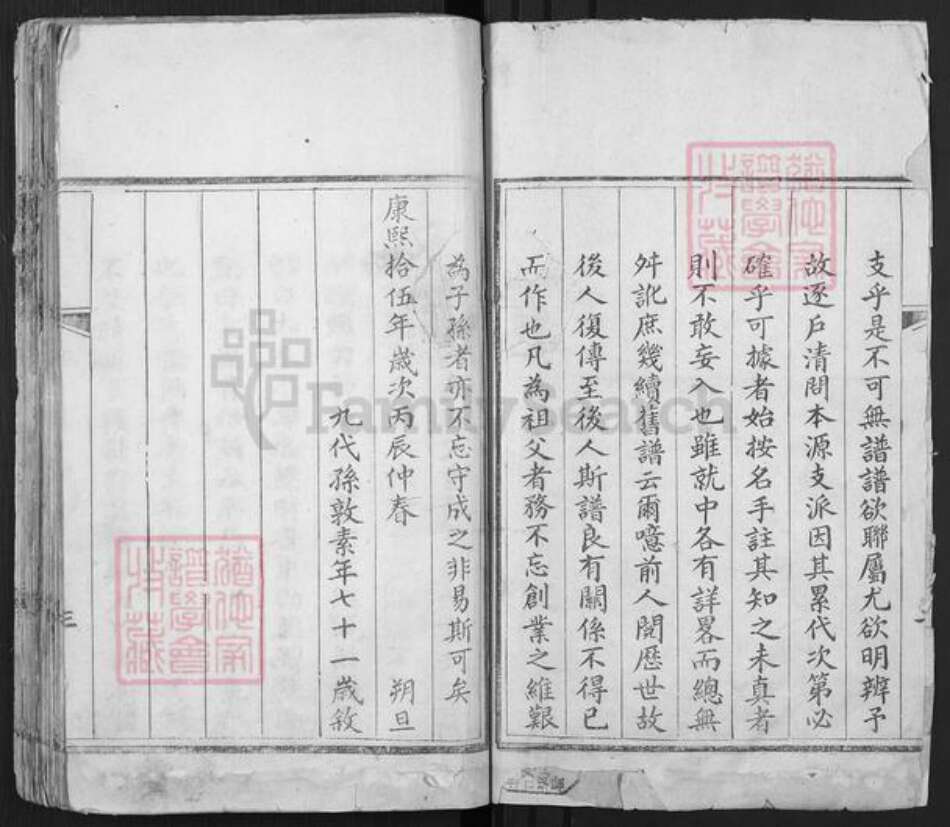 山东省济南市平阴县张氏族谱-张氏族谱.pdf电子版预览图1