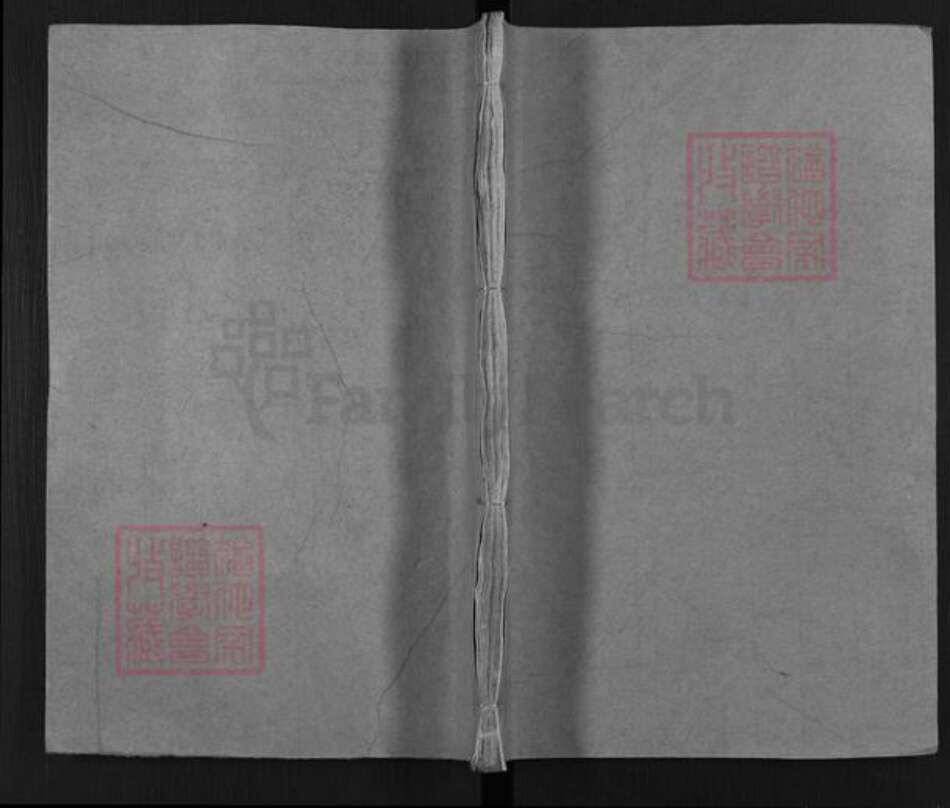 四川省南充市仪陇县回春镇张氏百忍堂族谱-张氏续修族谱.pdf电子版缩略图