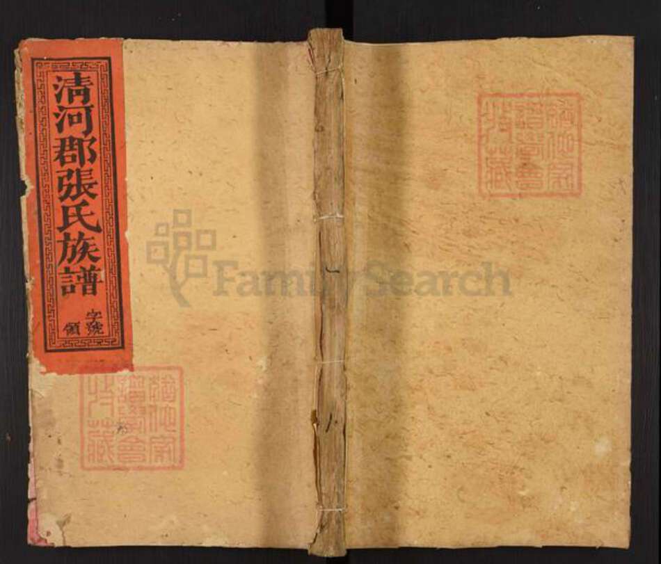 福建省三明市宁化县张氏族谱-清河郡张氏族谱.pdf电子版缩略图