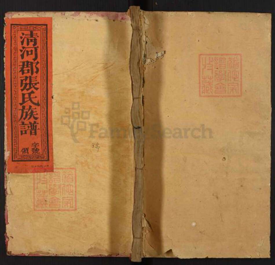 福建省三明市宁化县城南镇张氏族谱-清河郡张氏族谱.pdf电子版缩略图