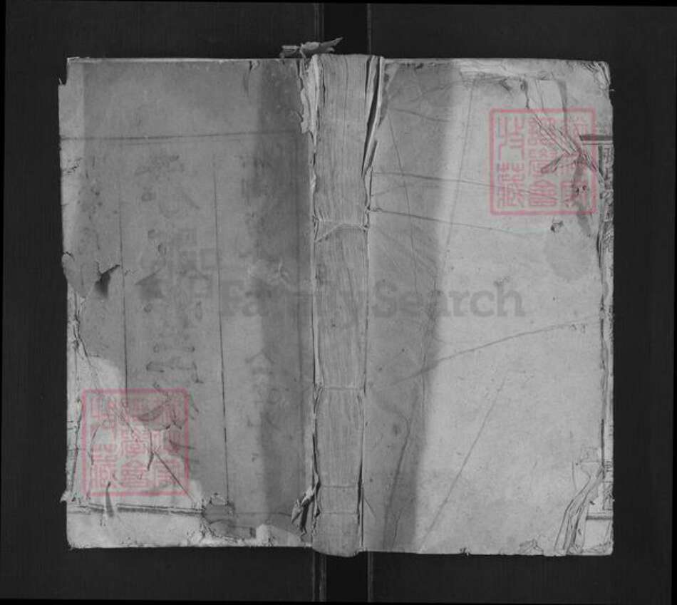 安徽省安庆市宿松县张氏孝友堂族谱-张氏宗谱.pdf电子版缩略图