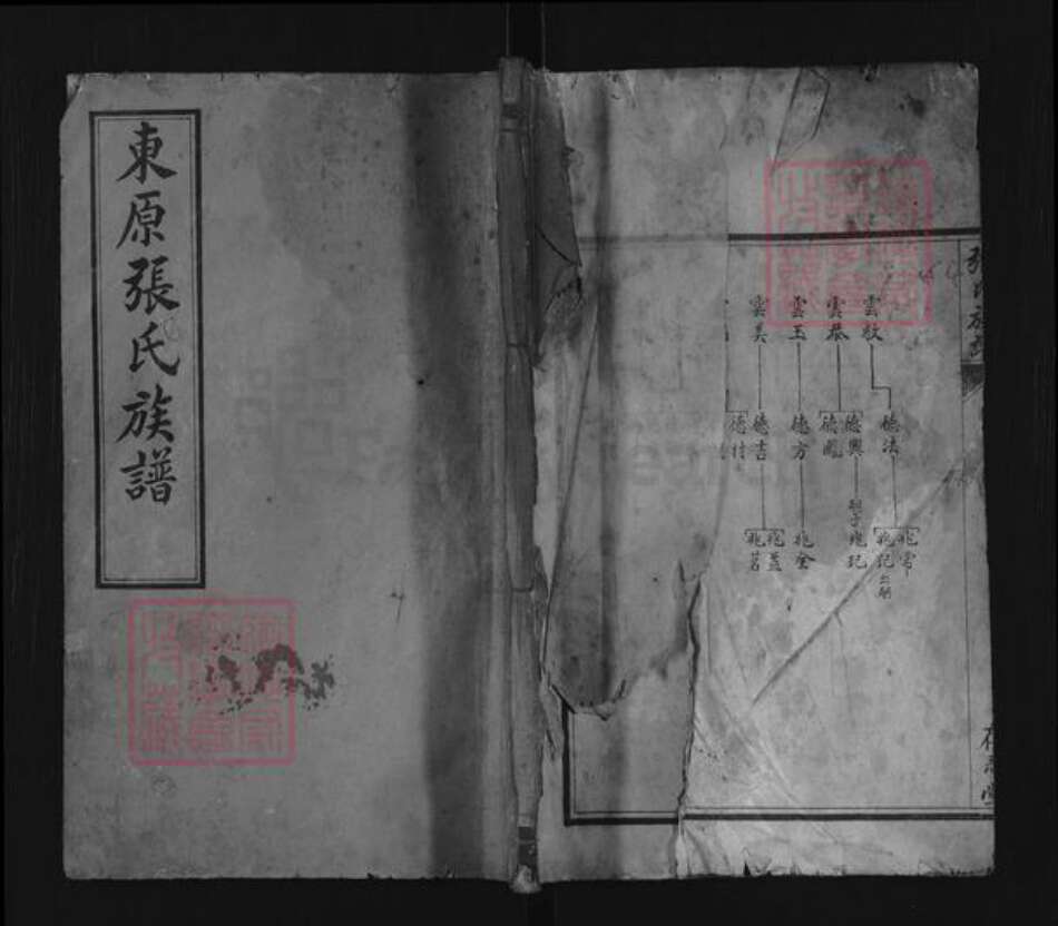 山东省泰安市东平县张氏存忍堂族谱-东原张氏族谱.pdf电子版缩略图