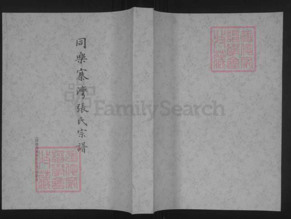 山西省忻州市原平市崞阳镇张氏族谱-同乐寨湾张氏宗谱.pdf电子版缩略图