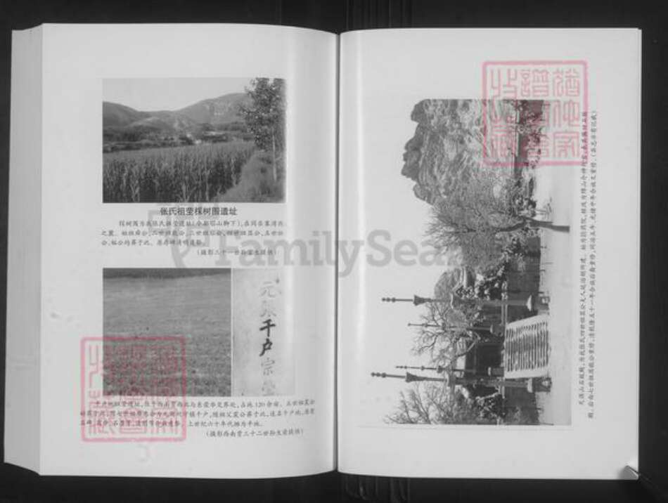 山西省忻州市原平市崞阳镇张氏族谱-同乐寨湾张氏宗谱.pdf电子版预览图4