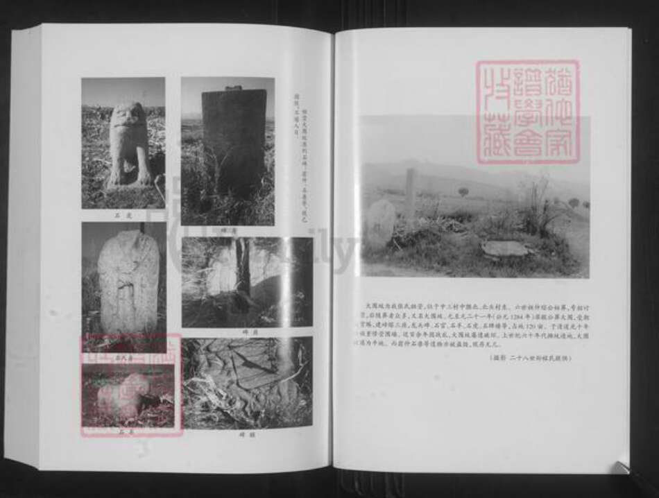 山西省忻州市原平市崞阳镇张氏族谱-同乐寨湾张氏宗谱.pdf电子版预览图5