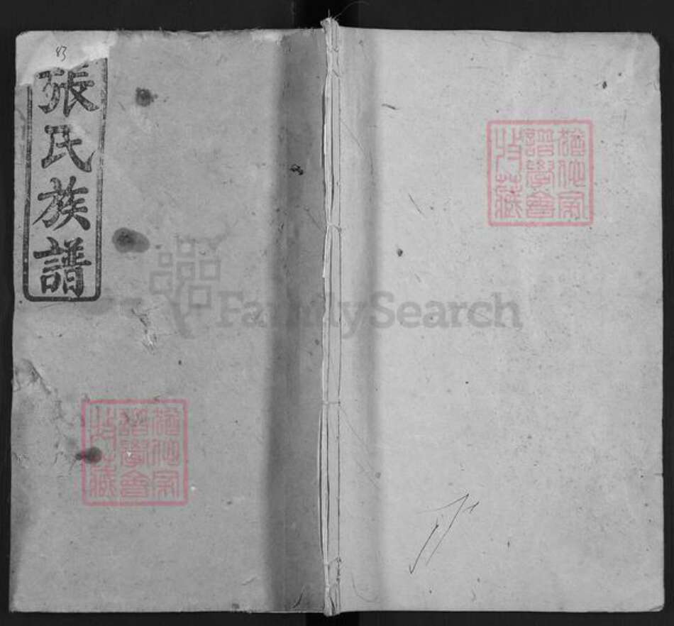 湖南省长沙市浏阳市沙市镇张氏永聚堂族谱-浏阳山斗张氏族谱.pdf电子版缩略图