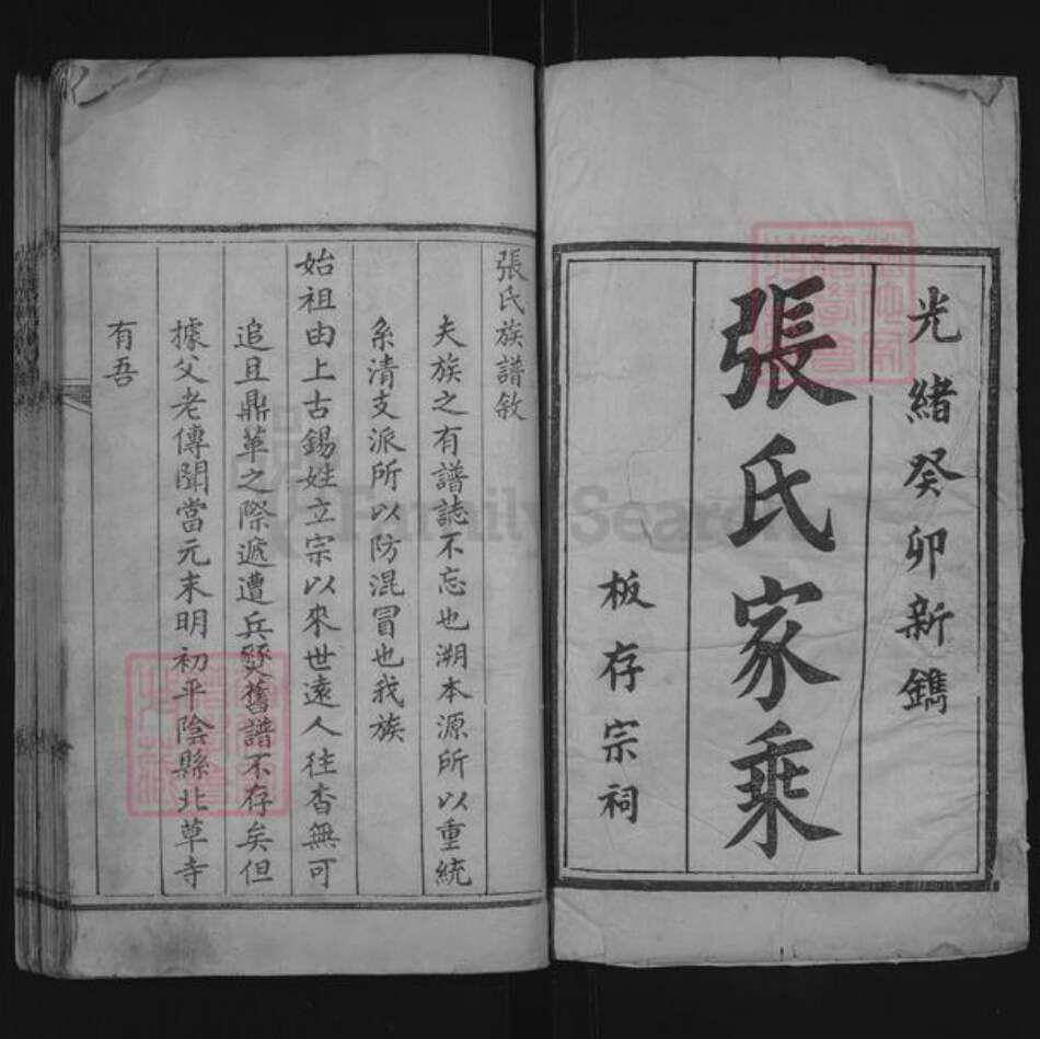 山东省聊城市东阿县张氏族谱-张氏族谱.pdf电子版预览图1