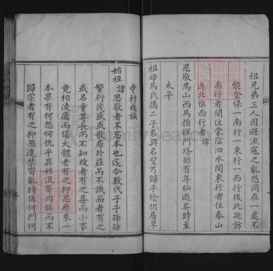 山东省聊城市东阿县张氏族谱-张氏族谱.pdf电子版预览图2