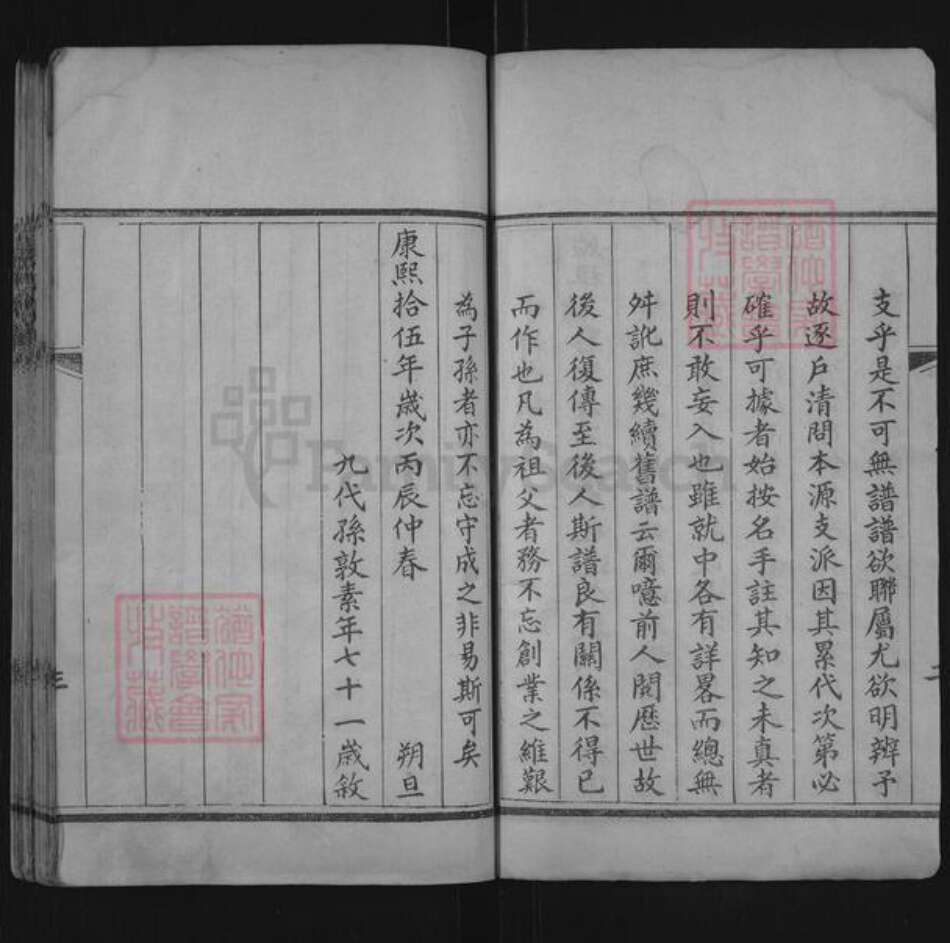 山东省聊城市东阿县张氏族谱-张氏族谱.pdf电子版预览图3