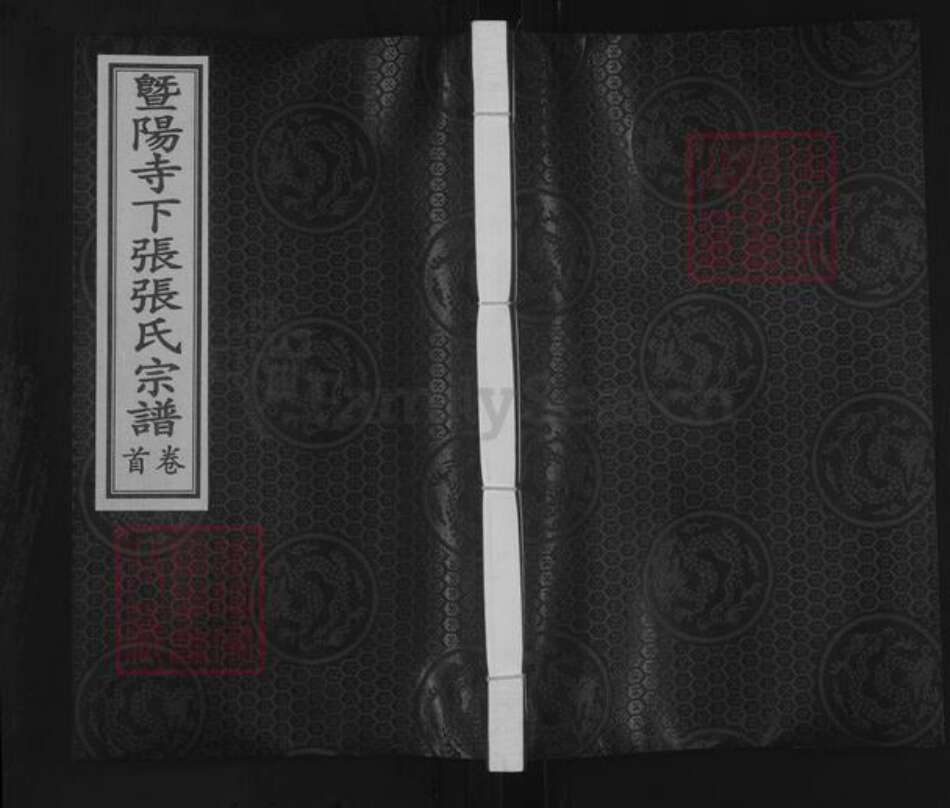 江苏省无锡市江阴市张氏芝泉堂族谱-暨阳寺下张张氏宗谱.pdf电子版缩略图