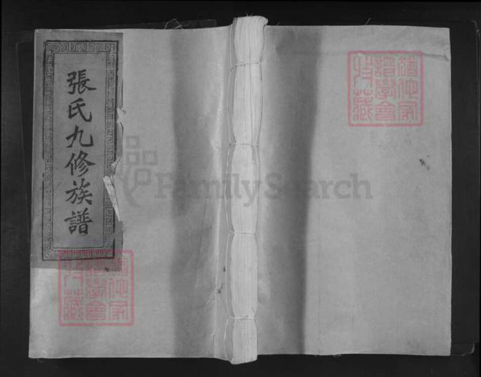 福建省三明市宁化县淮土镇张氏族谱-忠烈嗣徽张氏九修族谱.pdf电子版缩略图