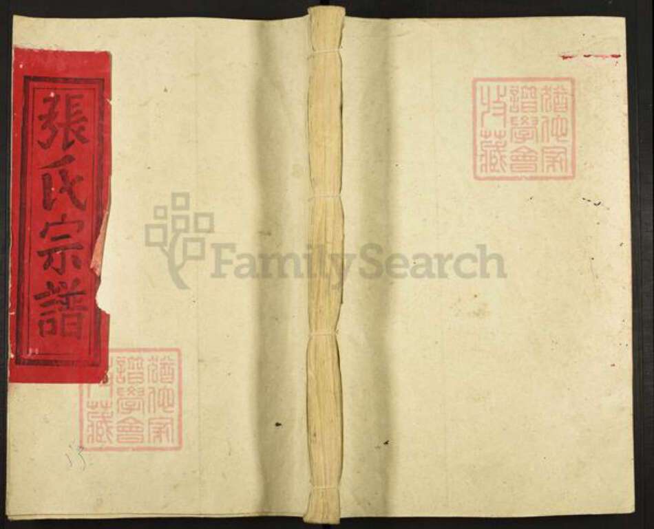 福建省三明市建宁县里心镇张氏族谱-张氏宗谱.pdf电子版缩略图