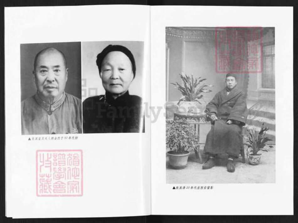 河南省洛阳市宜阳县张氏族谱-赵堡一家人.pdf电子版预览图4