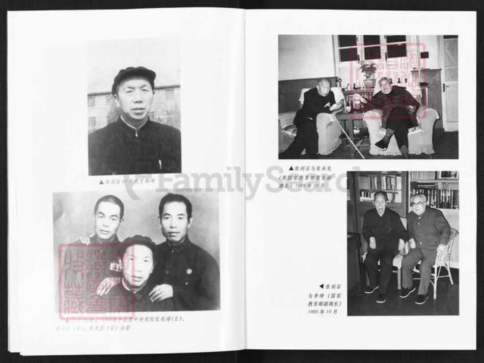 河南省洛阳市宜阳县张氏族谱-赵堡一家人.pdf电子版预览图5