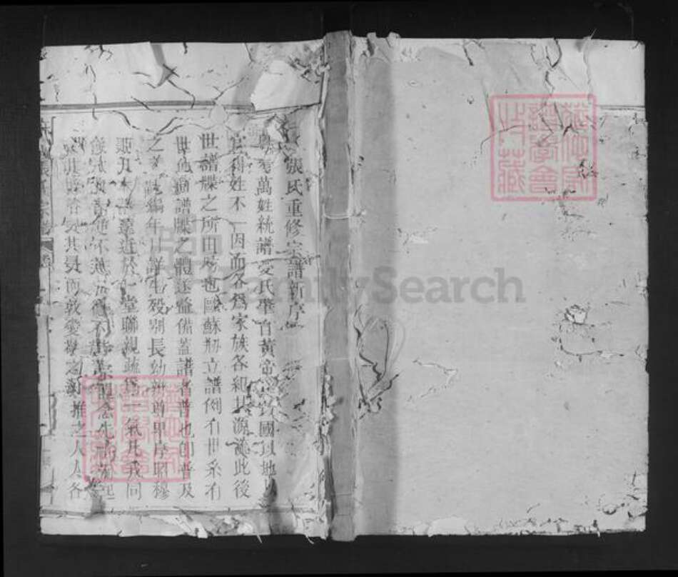 福建省南平市邵武市张氏族谱-麻沙张氏宗谱.pdf电子版缩略图