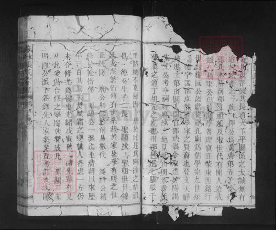 福建省南平市邵武市张氏族谱-麻沙张氏宗谱.pdf电子版预览图2