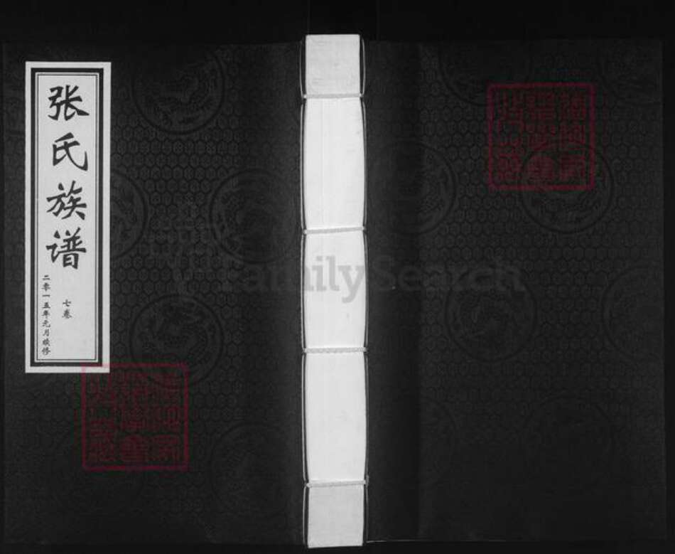 山东省德州市平原县张氏族谱-张氏族谱.pdf电子版缩略图