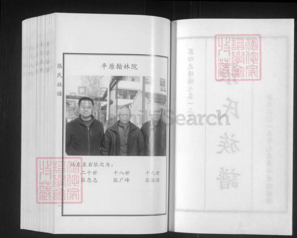 山东省德州市平原县张氏族谱-张氏族谱.pdf电子版预览图2