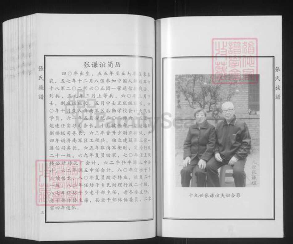 山东省德州市平原县张氏族谱-张氏族谱.pdf电子版预览图4