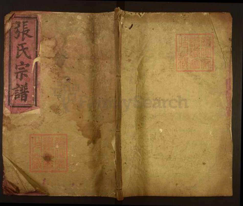 湖南省岳阳市平江县张氏孝友堂族谱-张氏宗谱.pdf电子版缩略图