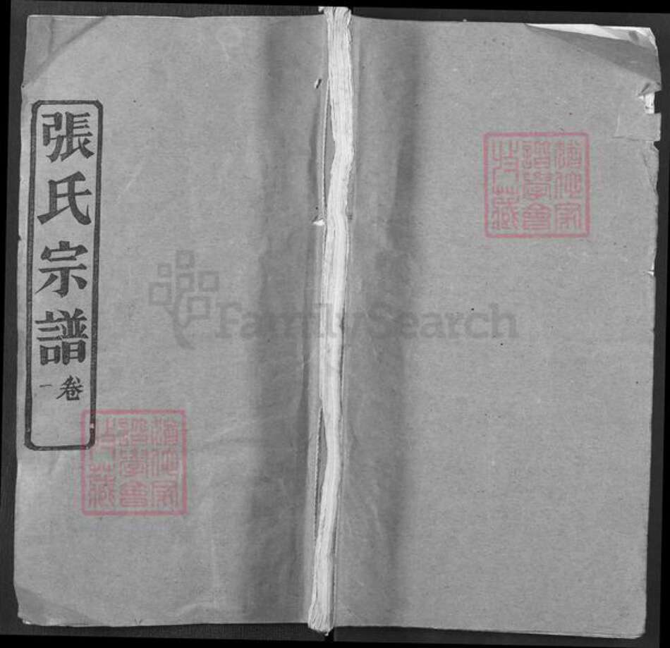 湖北省武汉市新洲区张氏忠孝堂族谱-张氏宗谱.pdf电子版缩略图