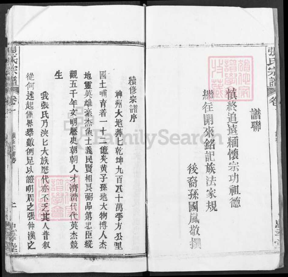 湖北省武汉市新洲区张氏忠孝堂族谱-张氏宗谱.pdf电子版预览图2