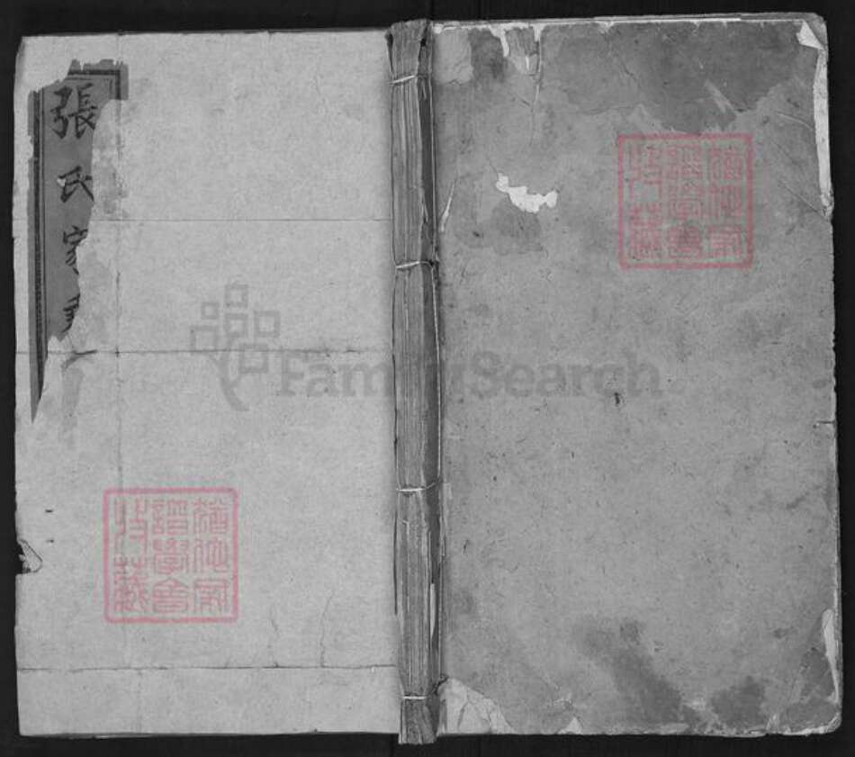 山东省济南市平阴县张氏族谱-张氏家乘.pdf电子版缩略图