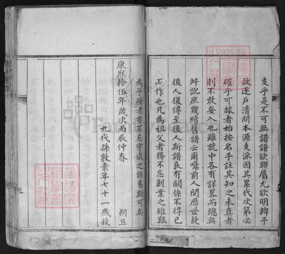 山东省济南市平阴县张氏族谱-张氏家乘.pdf电子版预览图1