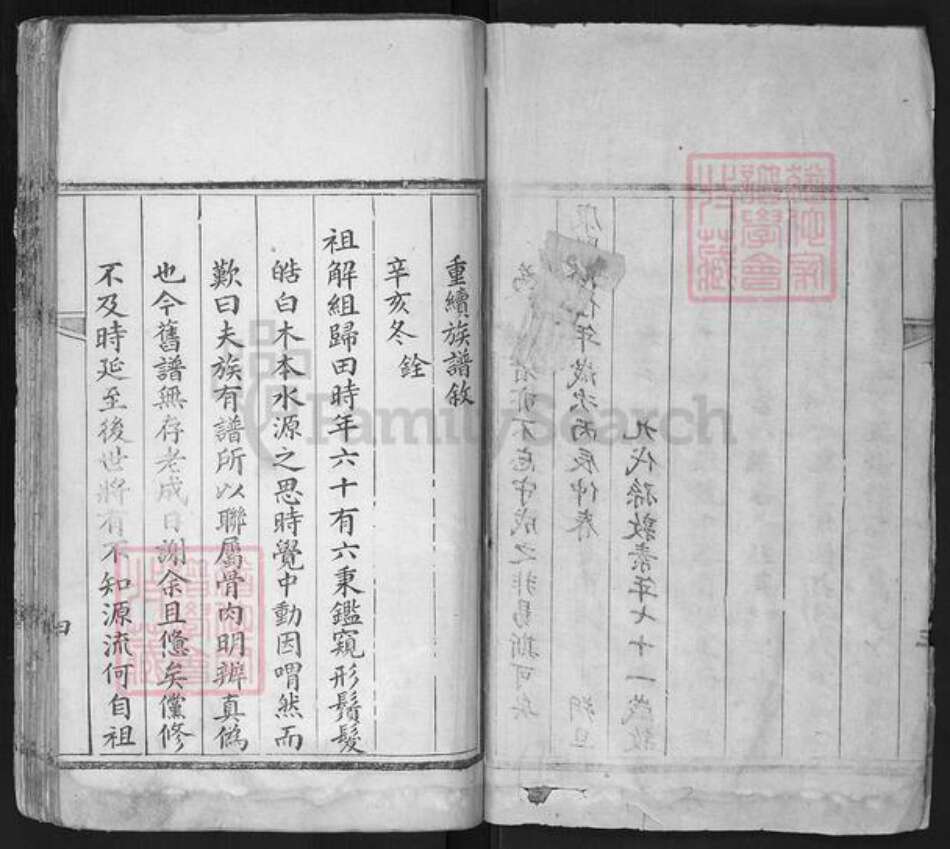 山东省济南市平阴县张氏族谱-张氏家乘.pdf电子版预览图2