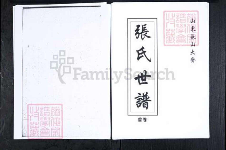 山东省滨州市邹平市张氏族谱-山东长山大齐张氏世谱[4卷首1卷].pdf电子版缩略图