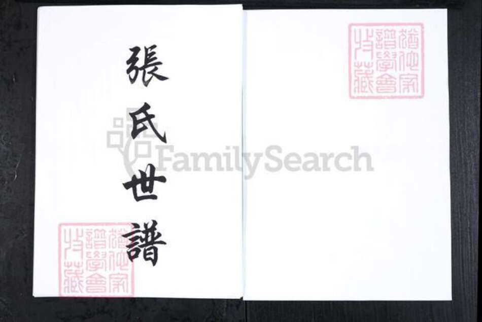 山东省滨州市邹平市张氏族谱-山东长山大齐张氏世谱[4卷首1卷].pdf电子版预览图1