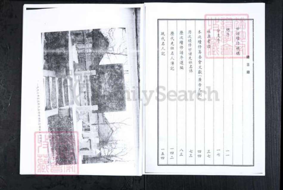 山东省滨州市邹平市张氏族谱-山东长山大齐张氏世谱[4卷首1卷].pdf电子版预览图4