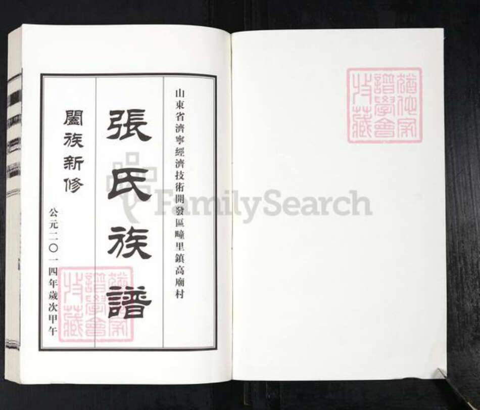 山东省济宁市张氏族谱-张氏族谱.pdf电子版预览图1