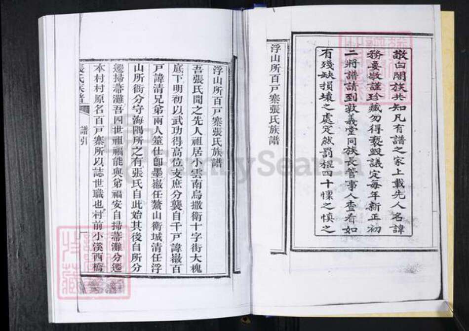 山东省青岛市崂山区张氏族谱-浮山所百户寨张氏族谱.pdf电子版预览图2