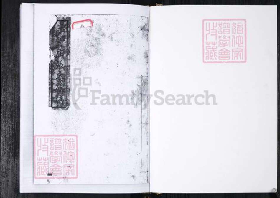山东省青岛市张氏族谱-张氏族谱.辛戈庄.pdf电子版预览图1